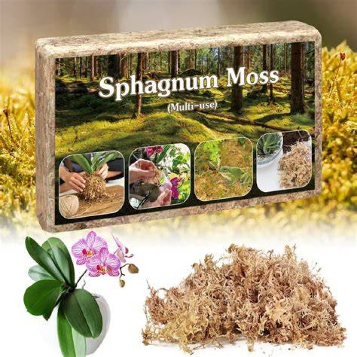 Can moss be stepped on?