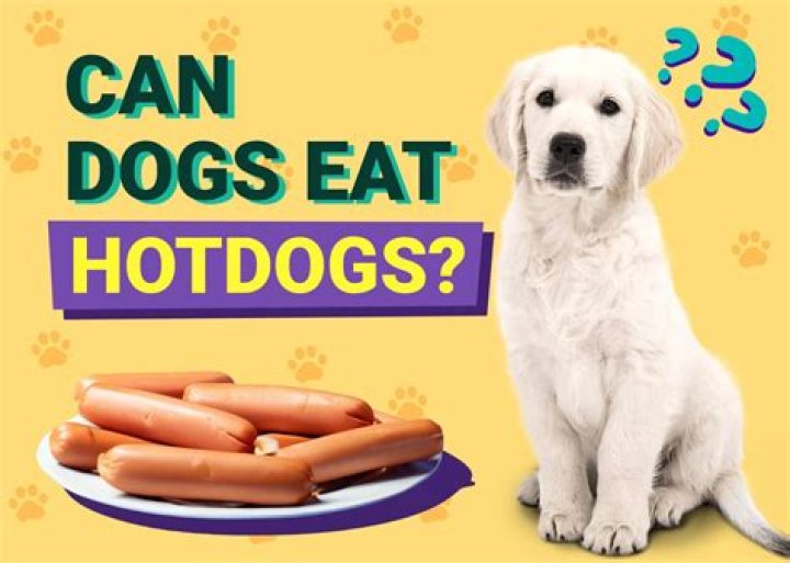 Can my cat eat hot dogs?
