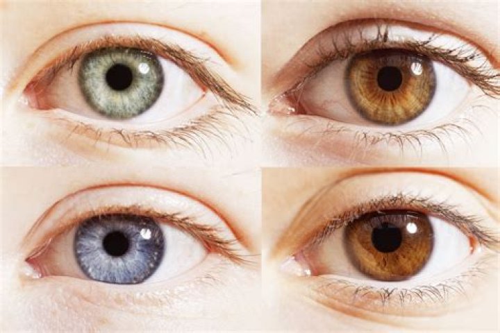 Can Orange be an eye color?