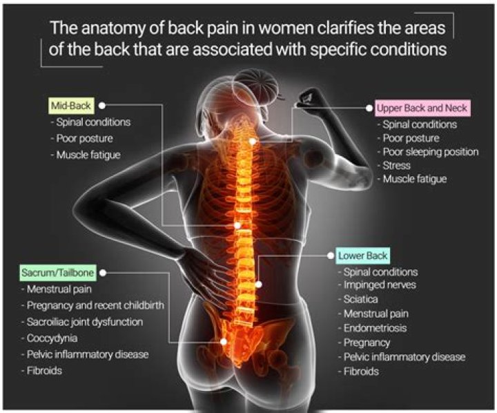 Can parasites cause lower back pain?