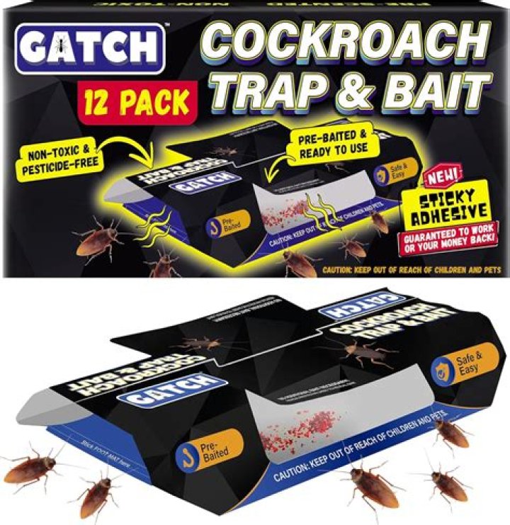 Can roaches go extinct?
