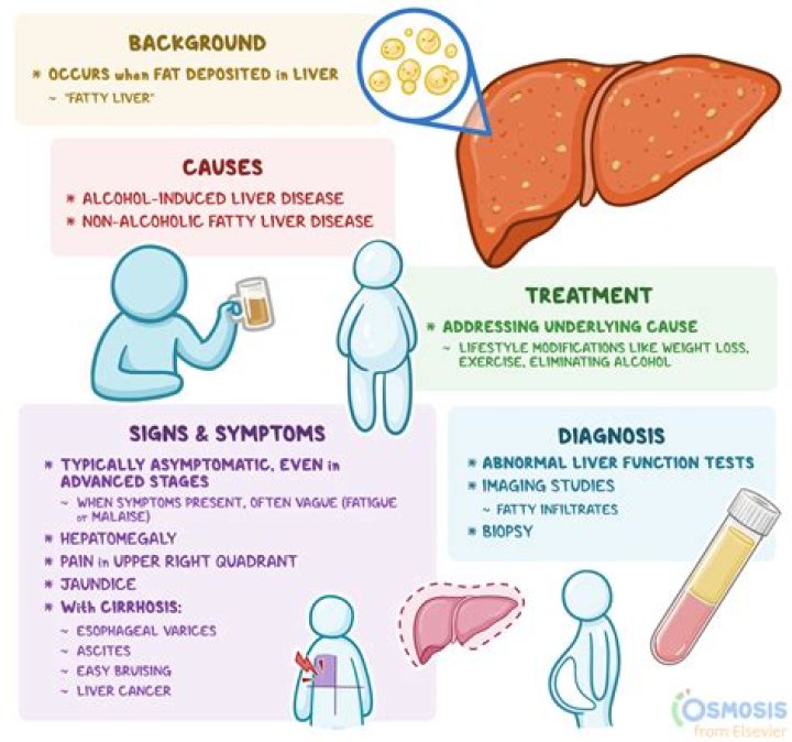 Can Salmonella cause liver damage?