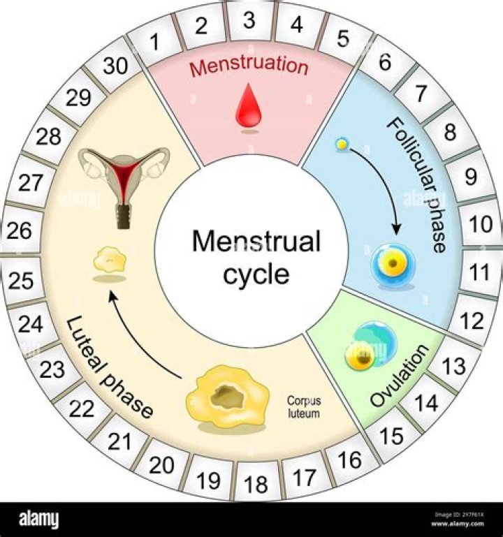 Can spine MRI be done during periods?