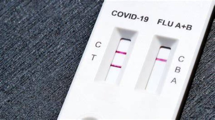 Can the COVID-19 antibody test give false negatives?