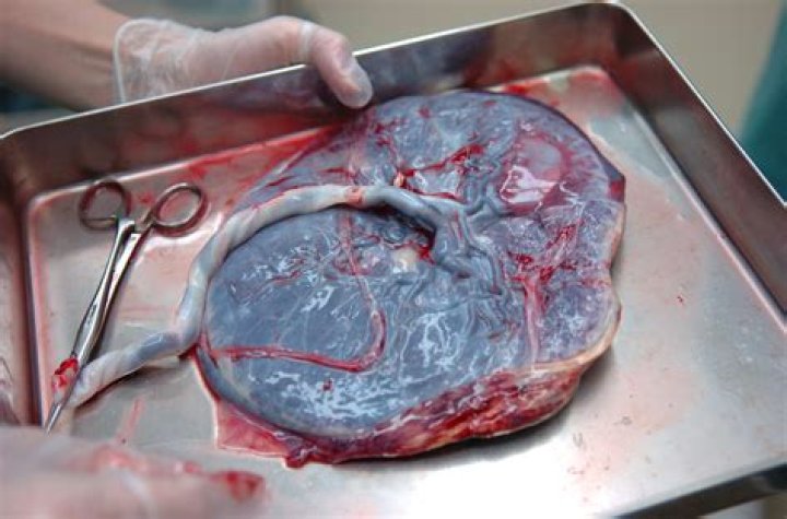 Can the father eat the placenta?