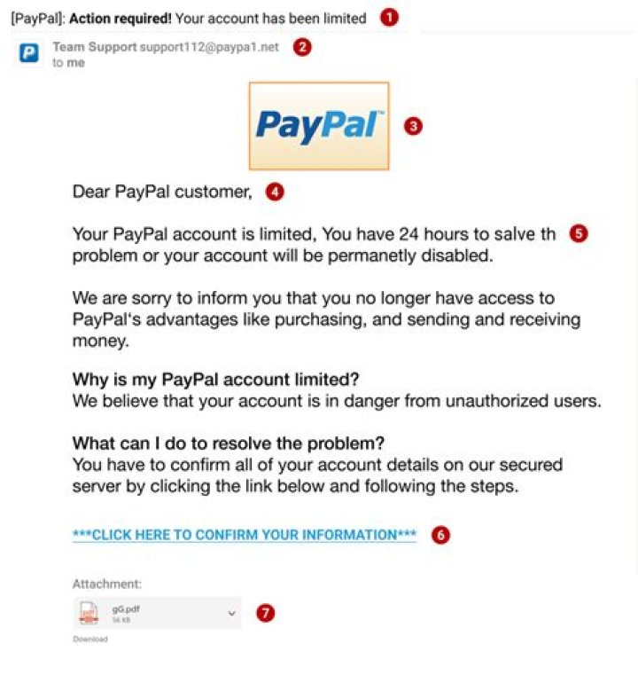 Can the IRS see your PayPal account?