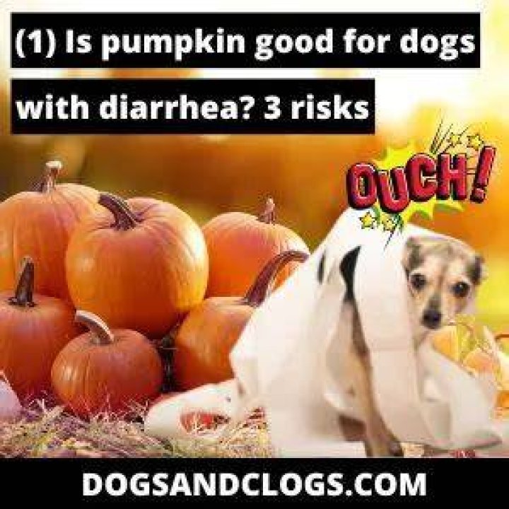 Can too much pumpkin cause diarrhea?
