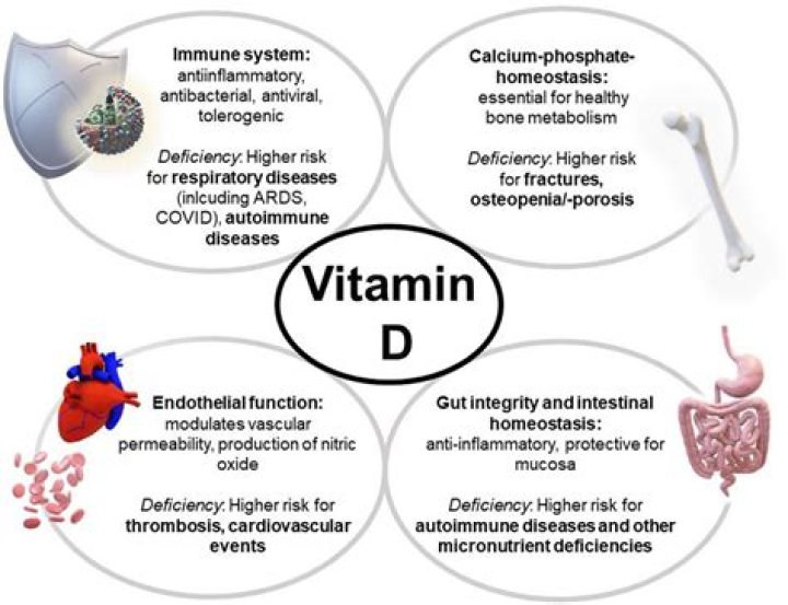 Can too much vitamin D cause sarcoidosis?