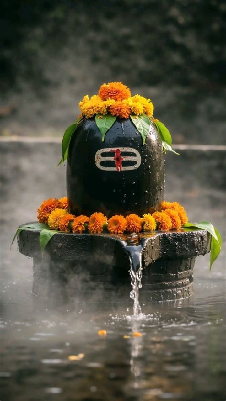 Can we apply Chandan on Shivling?