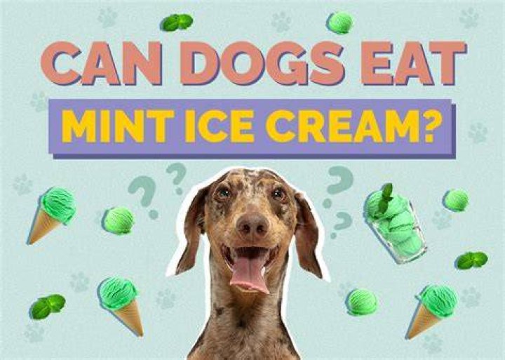 Can we give ice Apple to dogs?