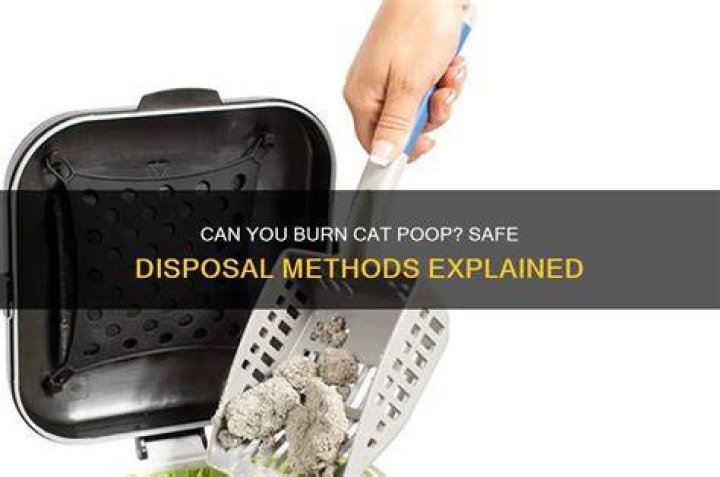 Can you burn cat poop?