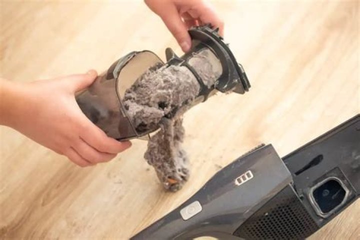 Can you compost vacuum dust?