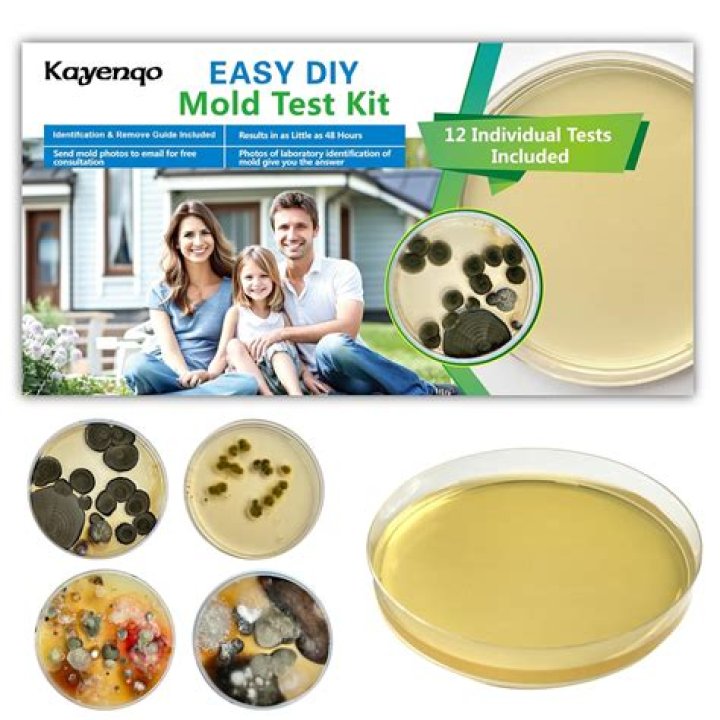 Can you eat white mold?