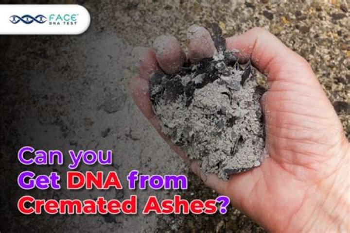 Can you get DNA from cremated remains?