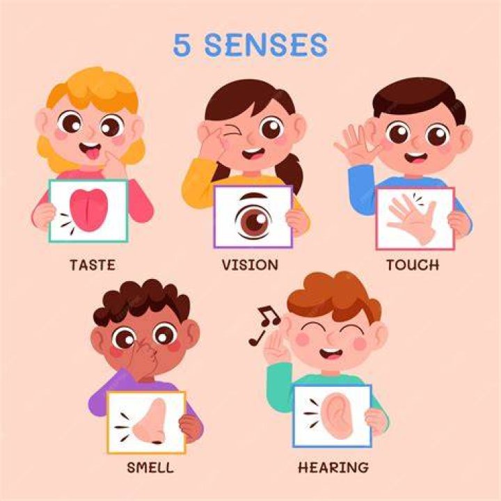 Can you learn a sense of rhythm?