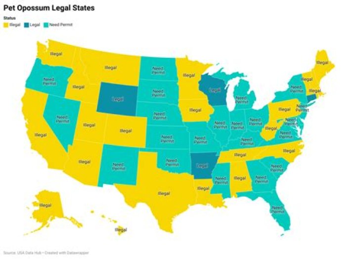 Can you legally own a RPG?