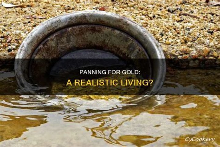Can you make a living panning gold?