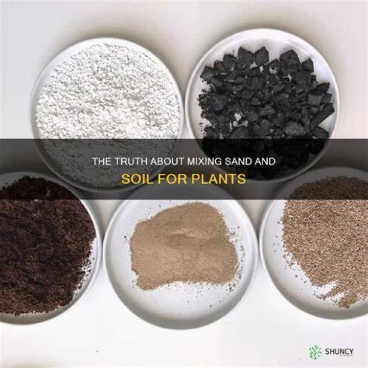 Can you mix sand with soil for plants?