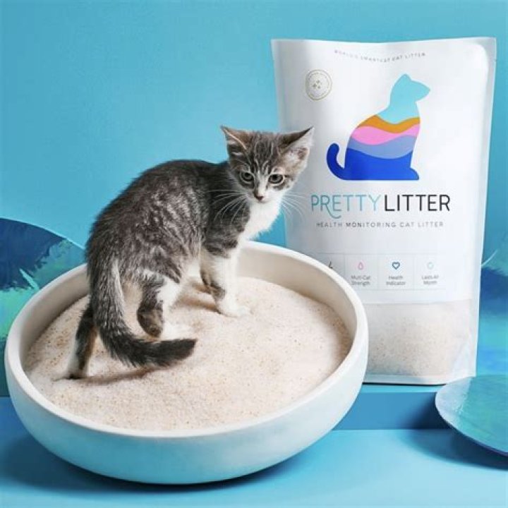 Can you put cat food near cat litter?