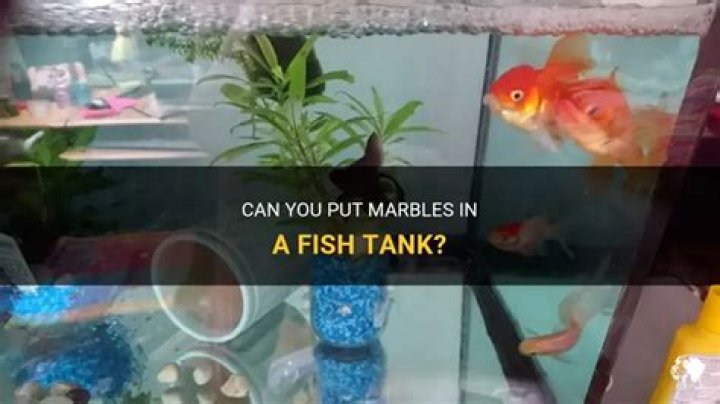 Can you put marbles in a fish tank?