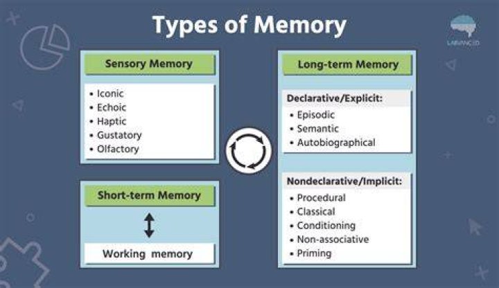 Can you regain memory?