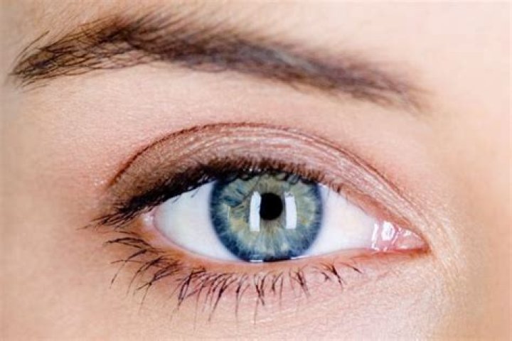 Can you see cholesterol in your eyes?