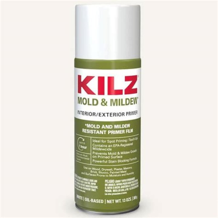 Can you spray kilz over mold?