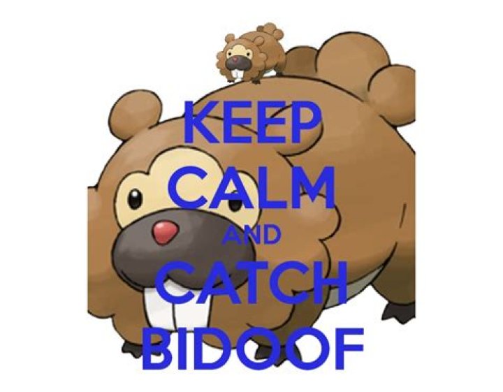Can you still catch Bidoof?