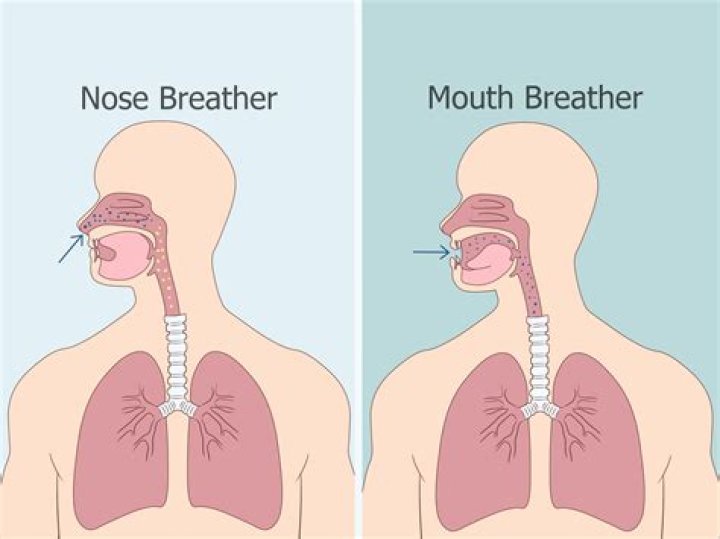 Can you train yourself to not be a mouth breather?