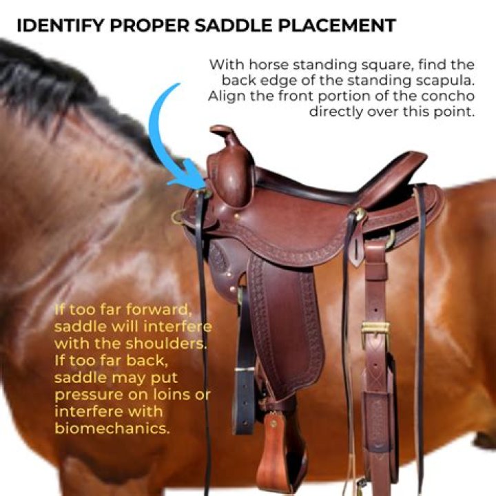 Can you use a GP saddle for dressage?
