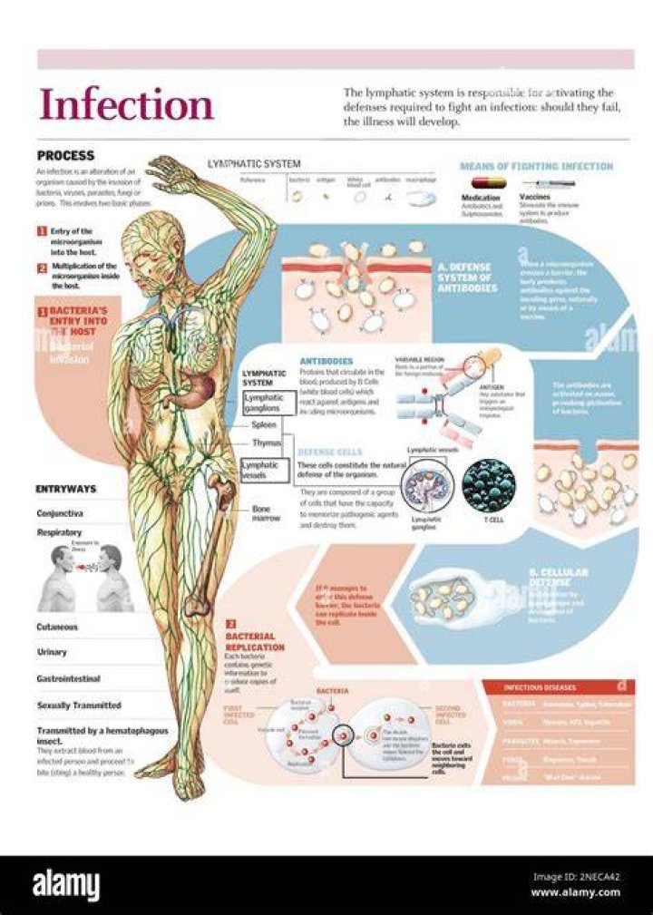 Can your body fight infection on its own?