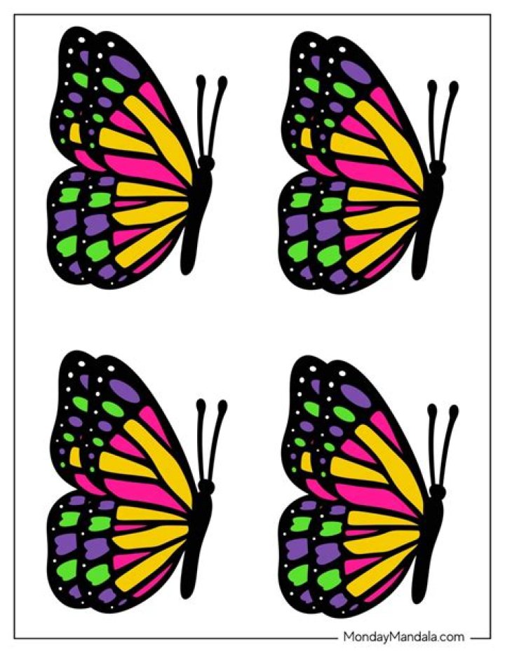 Did Captain Locke already have a butterfly?