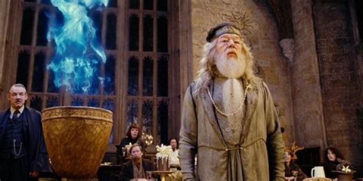 Did Dumbledore know Harry was being abused?
