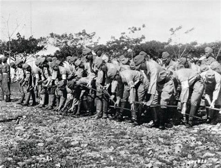 Did Japan fight in the Vietnam War?