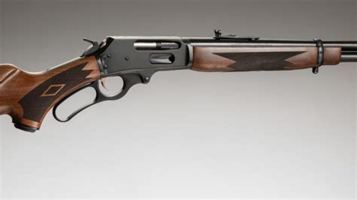 Did Marlin Firearms get bought out?