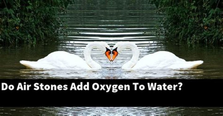 Do air stones add oxygen to water?
