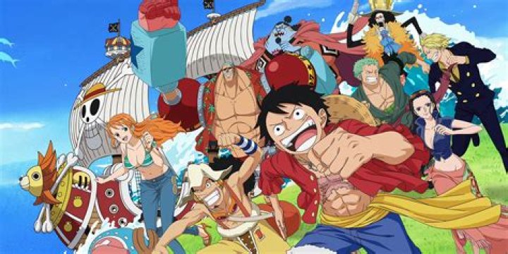 Do all Straw Hats have Haki?