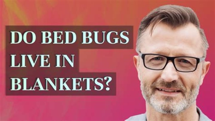 Do bed bugs live in blankets?