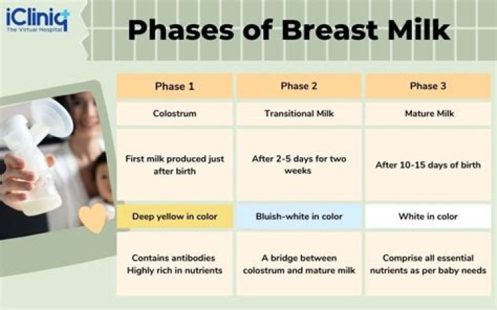 Do bigger breasts produce more milk?