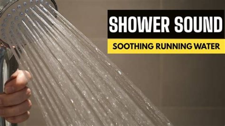 Do cats like the sound of the shower?