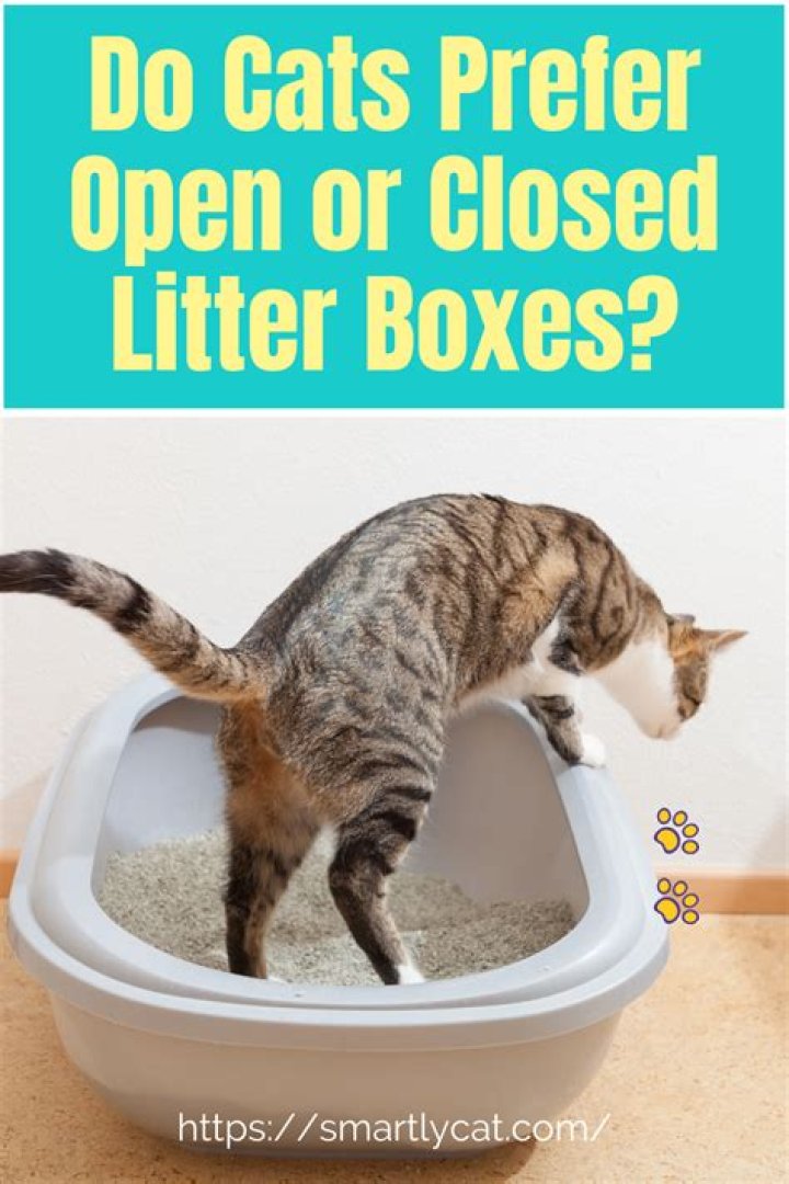 Do cats prefer open or closed litter boxes?