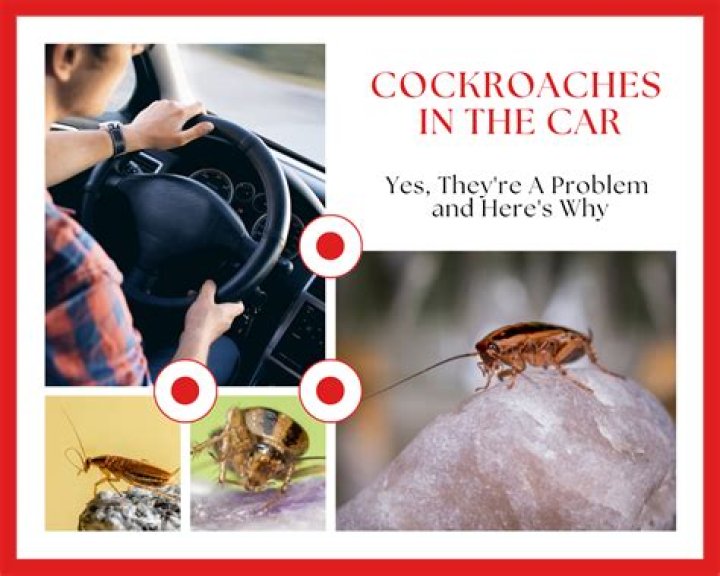 Do cockroaches scare you?