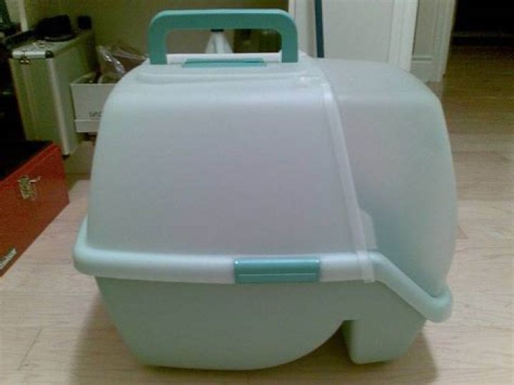 Do covered litter boxes smell less?