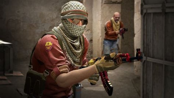 Do D2 players go pro?