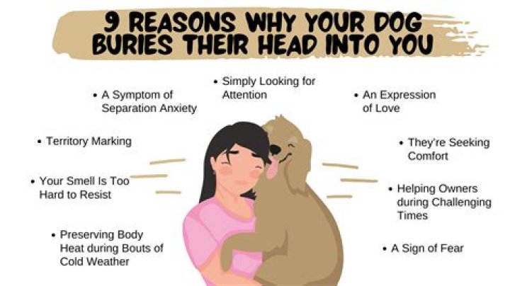 Do dogs smell when you bury them?