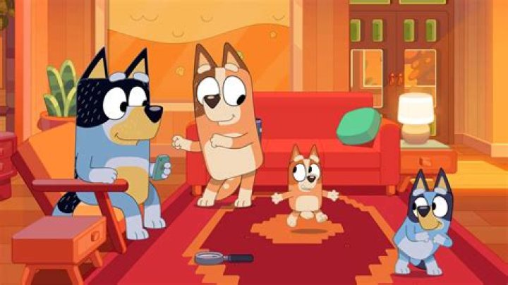 Do dogs watch TV when alone?