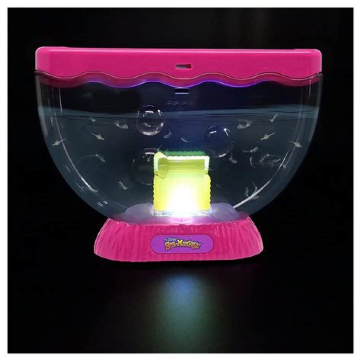 Do fish like light in their tank?