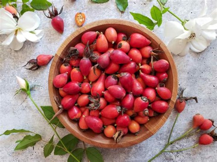 Do flowers scream when you pick them?