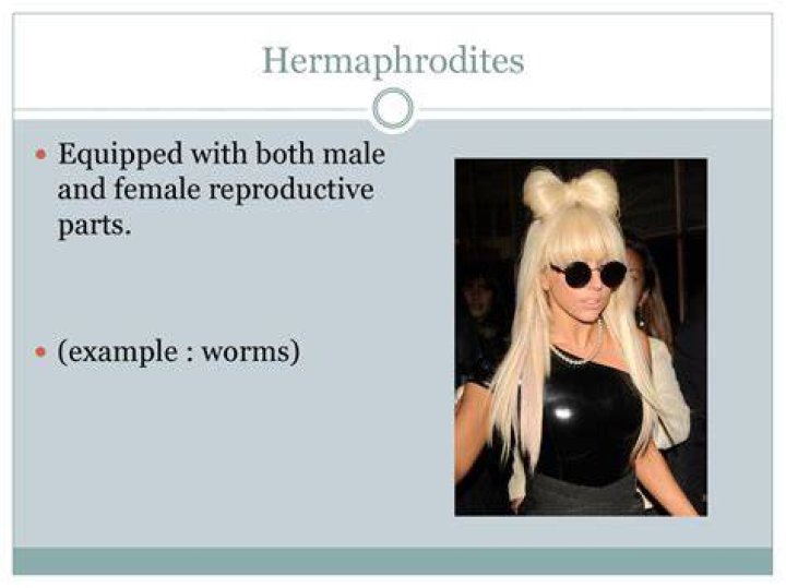 Do hermaphrodites have both working parts?