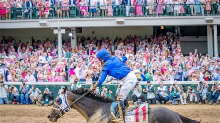 Do high odds horses ever win?